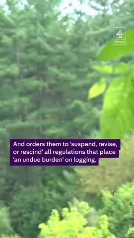 85K views · 907 reactions | President Trump wants to increase logging in America. Alongside tariffs on importing timber, the US president has passed executive orders instructing two US agencies to increase domestic timber production. #trump #DonaldTrump #USImports #TradeWar #Timber #Environment #c4news | Channel 4 News | Facebook