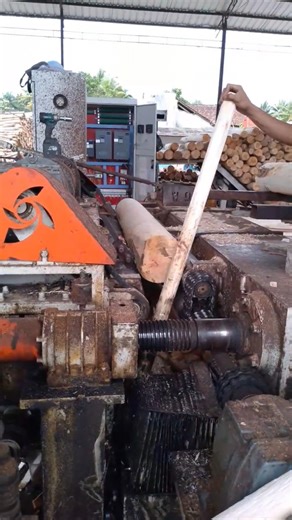 Transforming Debarked Logs into Veneer Sheets with a Vintage Rotary Lathe!