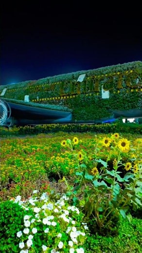 🌺✨ A Festival of Blooms Under the Dubai Sky | Dubai Miracle Garden 4K Walk #dubai #miraclegarden