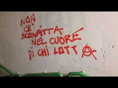 PLANKTON - NON C' É SCONFITTA NEL CUORE DI CHI LOTTA