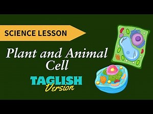 JHS G7 SCIENCE QUARTER 2 WEEK 2: PLANT AND ANIMAL CELLS