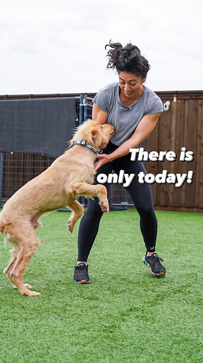 Stephanie Rodriguez on Instagram: "Every single one of us has a ton going on….and today may have been a super crappy day. But just remember, we only have today. So make it count. Don’t let the last thought, as you lay your head on that pillow, be a negative one. "