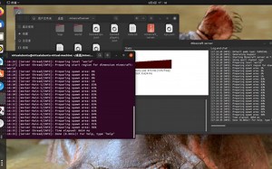 教程 在Linux下搭建Minecraft服务器