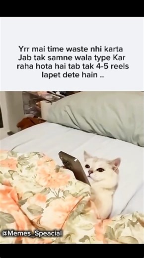 Time waste #viral #shortsfeed #ytshorts #trending #video #reels #explore #love #memes #memehub #cat