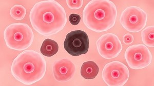 Cell Death 3d Animation Cancer Cells Stock Footage Video (100% Royalty-free) 1094394595 | Shutterstock