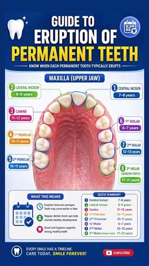 Permanent Teeth Eruption Timeline 🦷 | Maxilla Explained in 30 Seconds