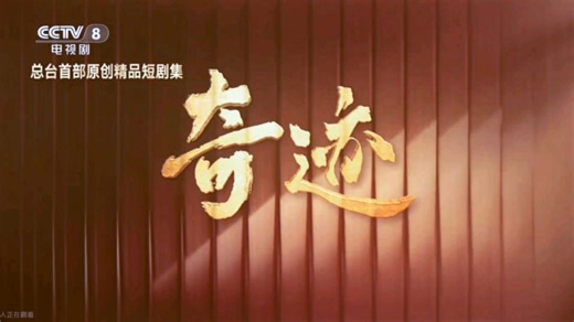 广播电视：CCTV-8 节目预告（2019～至今）（2025-12-30版本）