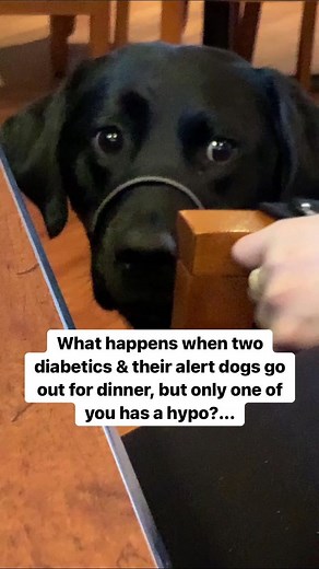 Diabetic Alert Dog Saves the Day! 🐶