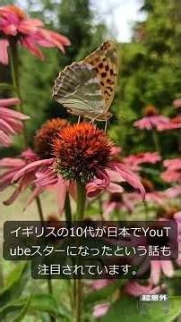 日本の人気ユーチューバーに関する最新情報