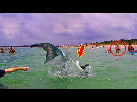 7 Astonishing Real Mermaid Sightings From History