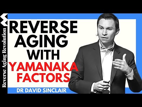 REVERSE AGING With Yamanaka Factors | Dr David Sinclair Interview Clips