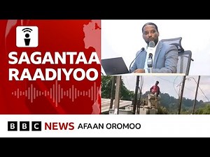 Hidhattoonni WBO Abbootii Alangaa Oromiyaa afur butan himatamuu | BBC News Afaan Oromoo