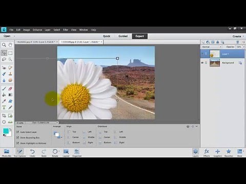 How to Use the Magic Extractor Tool in Photoshop Elements