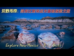 荒野传奇：寻找比斯蒂（Bisti）恐龙蛋的探险之旅 ｜ 新墨西哥探秘 3