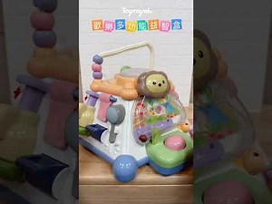 Toyroyal樂雅【歡樂多功能益智盒】(No.7760)功能展示