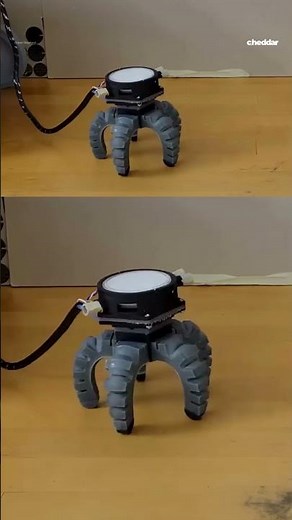 Mushroom learns to crawl after being given robot body