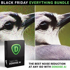 304 reactions · 25 shares | Want to create professional images and videos without investing thousands in equipment? Our Black Friday deal will take care of that! ⚠️Get the entire Topaz suite (worth $940) for just $299.99.  That's right, you can utilize our AI-enhanced editing tools to create jaw-dropping images and become a professional photographer in no time! Be quick, the offer expires soon!  | Topaz Labs | Facebook