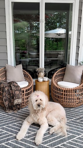 18K views · 179 reactions |  Bella approved… It’s safe to say.....