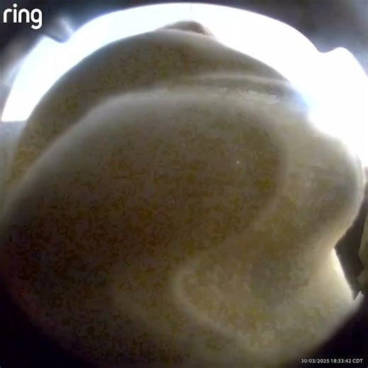 Inside the High-Rise Using Resident Surveillance for Organised Crime Intimidation.