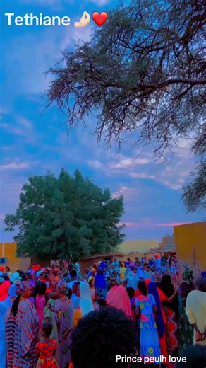 Exploring Prince Peulh Love in West African Culture