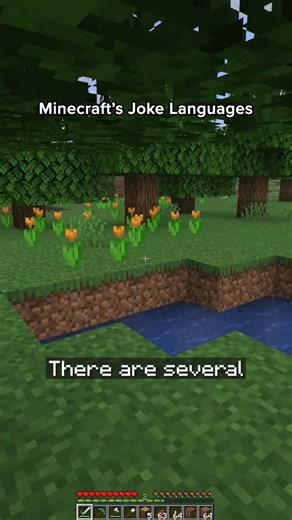 Retro Gaming Now | Have you ever heard of these unconventional languages in @minecraft ? 👀 #retrogamingnow #gamedev | Instagram
