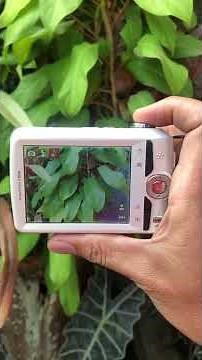Kodak EasyShare C1530