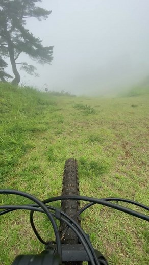 ダウンヒル体験：斑尾高原のメープルウッド