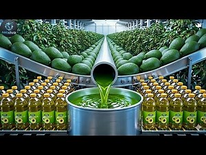 How Avocado Oil Is Made 🥑 (Full Factory Process)