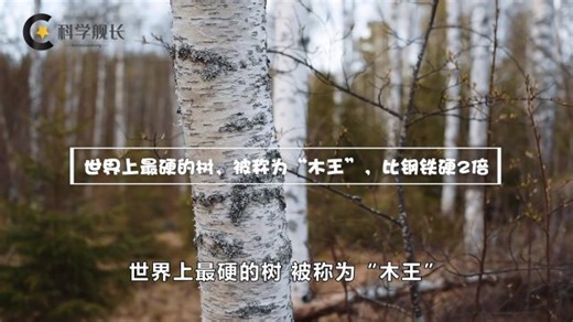 植物科普_高清1080P在线观看平台_腾讯视频