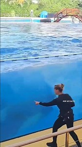 #shorts #short #trending #trendingshorts #viralshorts #youtubeshorts #shortsfeed #shortvideo #like