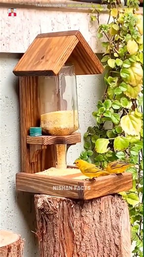 Automatic bird feeder machine #shorts #nishanfacts