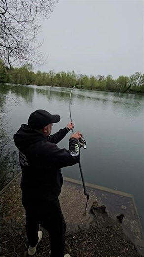Big Carp on #carp #carpfishing #carpfish #fish #fishing #fishingvideo #fishinglife #fishingtrip