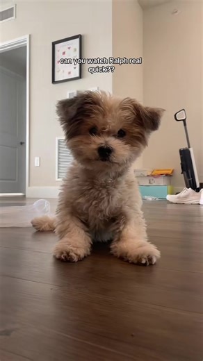 Understanding Ralphie's Perfect Characterization