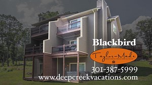 Come to Deep Creek Lake, MD for your next vacation! Stay at Blackbird - a dog friendly 🐶 townhome with 4 bedrooms and an outdoor hot tub💦. It is within a 5 minute drive from golf, restaurants, lake activities, mini golf, and more! | Taylor-Made Deep Creek Vacations