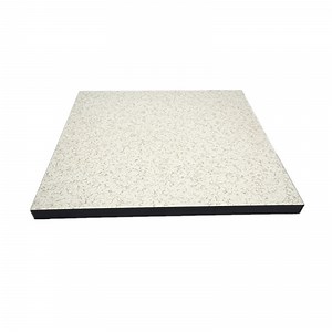 [Hot Item] Wood Core Raised Access Floor Office Building No Cracking Environmental Friendly Recycle