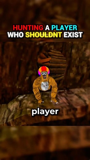 This Player Shouldn’t Exist…😨#gorillatag #gtag #vr
