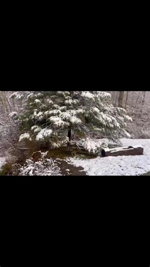 Candy Stone on Reels