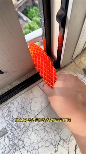 "Rocky the Naughty Window Explorer 😂" #shorts