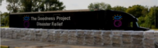 Who We Are - The Goodness Project