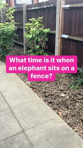 #fun #riddles #quiz | The D Family Riddles Games and Hacks