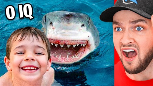 100 idiots caught on camera