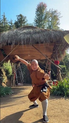 Control the qi with the mind and drive the strength with the qi. The punches are like arro