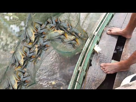Amazing Deep Water Fishing with China Net 🥅 | Incredible Boat Fishing Moments