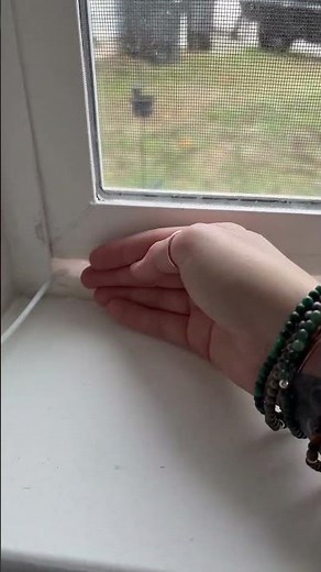 Alien draft sealed tape is great so that way you can close up the gaps around your doors and windows