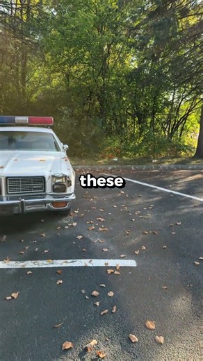 Are Auctioned Cop Cars Worth It?