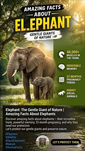 Amazing Facts About Elephants 🐘 | The Gentle Giants of Nature