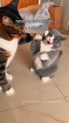 random car activities