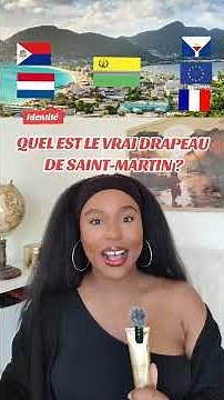 WHAT IS THE TRUE FLAG OF SAINT MARTIN?
