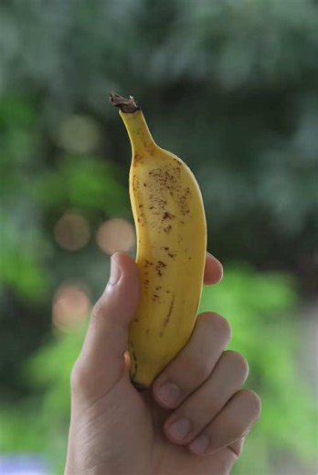 From Banana Peels to Potassium Metal: A Chemistry Experiment