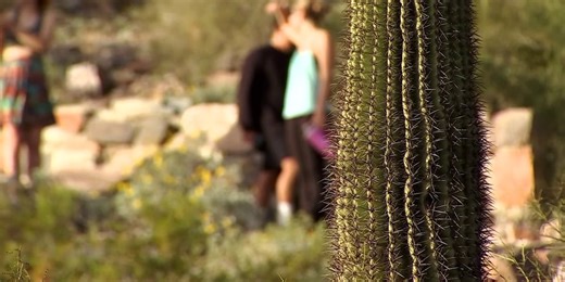 Hottest Januarys in Arizona since 1895